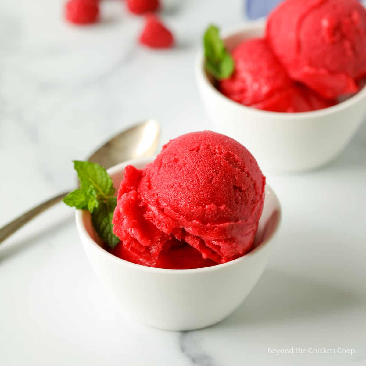 Frambozen sorbet